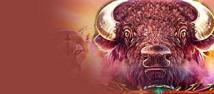 Das Bison aus dem Slot Bison Trail von Platipus.