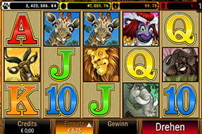 Beim Mega Moolah Automatenspiel den progressiven Jackpot knacken