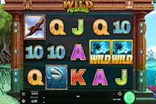 Wild Predators Slot.