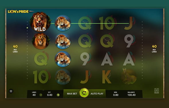 Der Video Slot Lion's Pride mit seinen Tier-Symbolen.