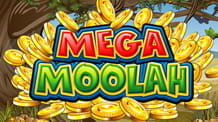 Linkbild Mega Moolah Jackpot Slot für die Microgaming Übersichtsseite
