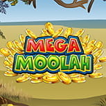 Der Mega Moolah Jackpot Slot von Microgaming.