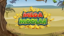 Der progressive Jackpot Slot Mega Moolah von Microgaming. 