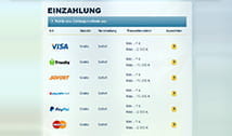 Die möglichen Zahlungsoptionen sind übersichtlich dargestellt.