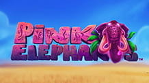 Der Slot Pink Elephants von Thunderkick.