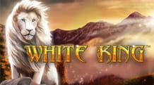 Der White King ist einer der bekanntesten Slots der Firma Playtech